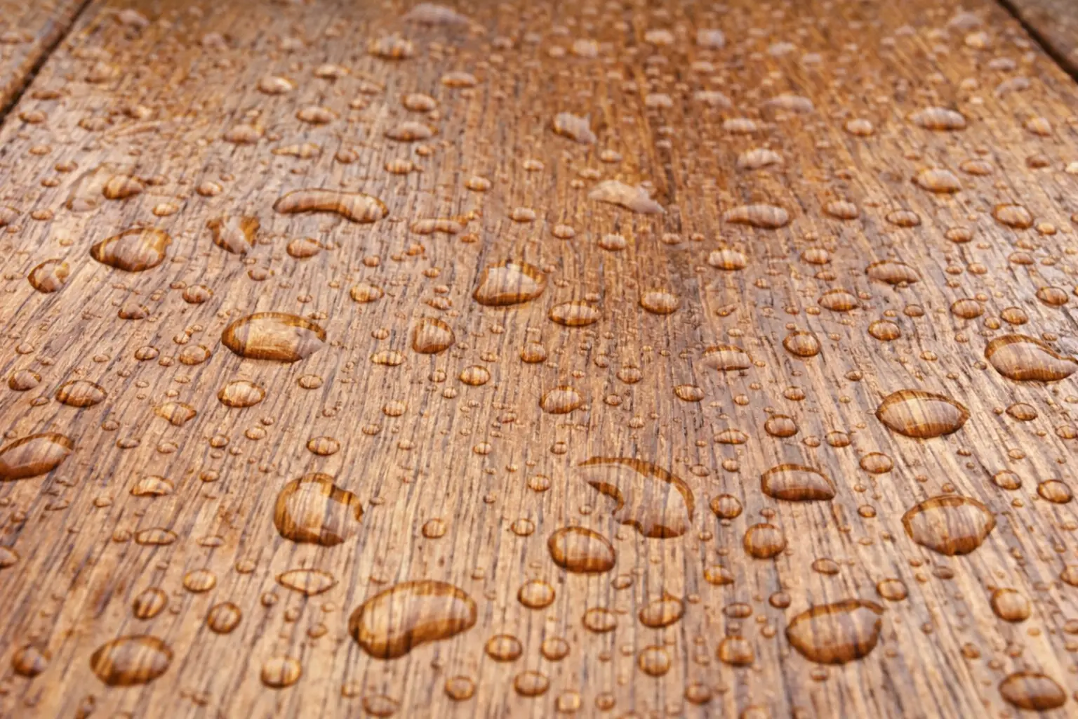 Cara Aplikasi Sanding Sealer agar Kayu Tahan Air dan Awet
